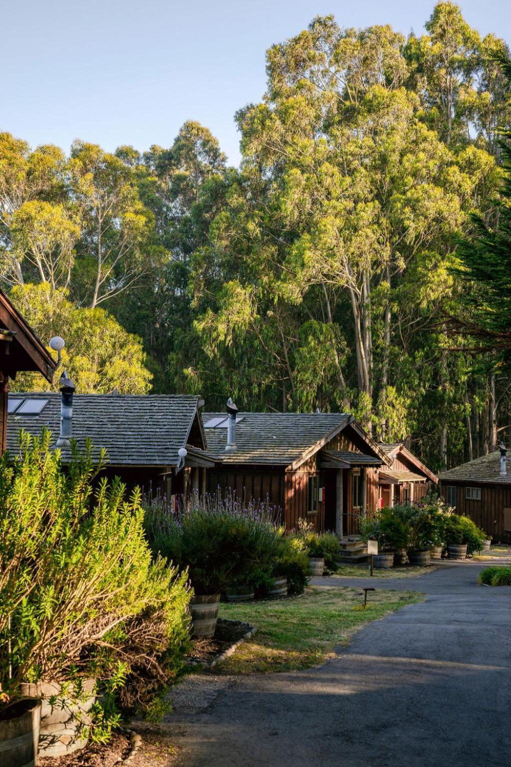 Costanoa