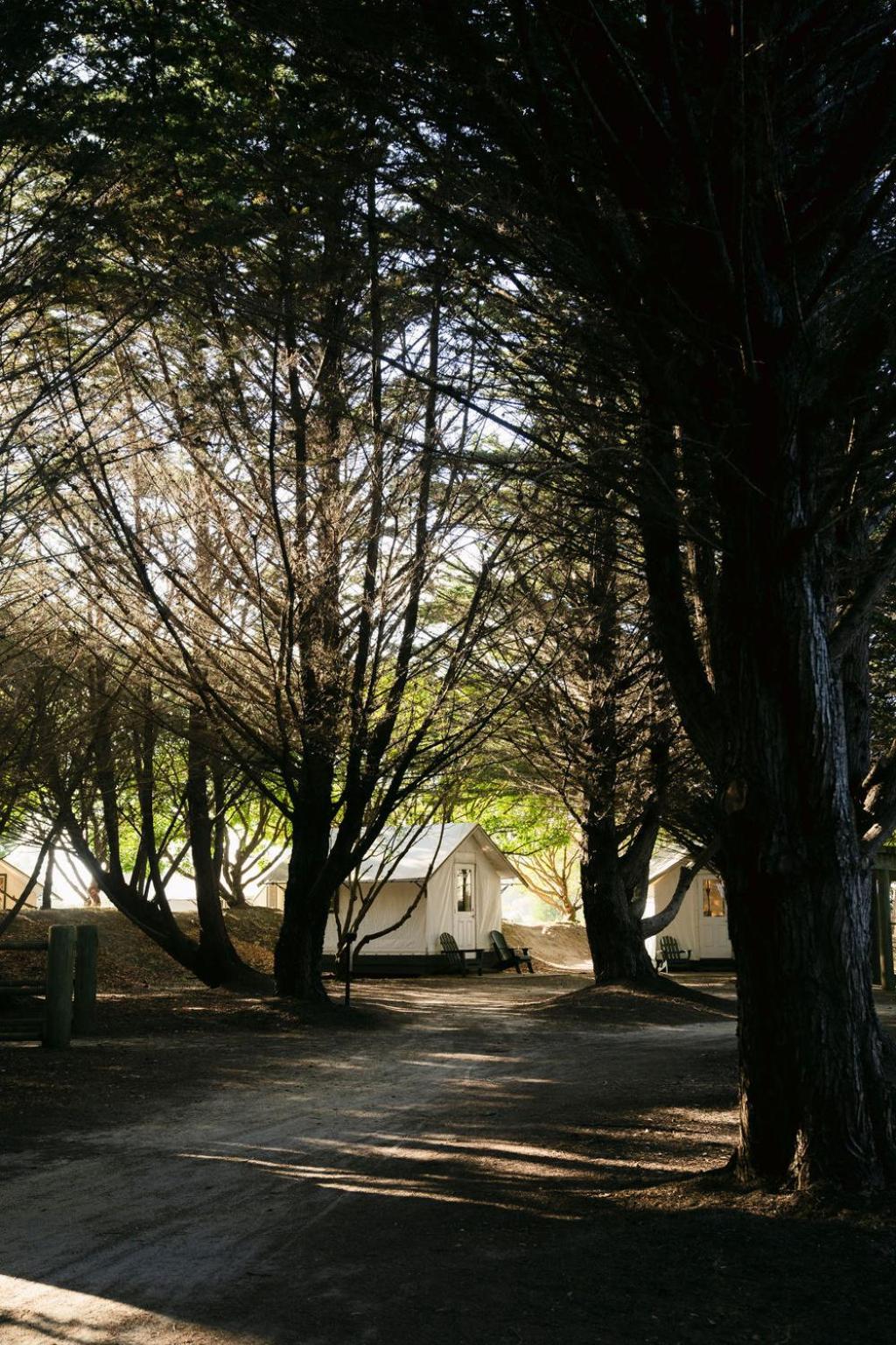 Hotel Costanoa 3*