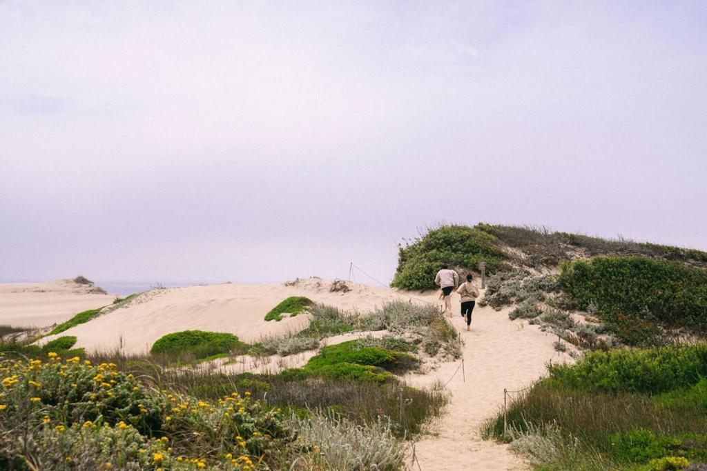 Costanoa