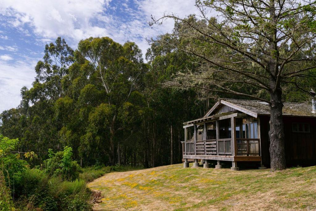 Costanoa And Camp